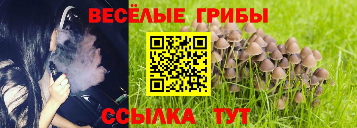 Галлюциногенные грибы прущие грибы  Вход с VPN  Брянск 