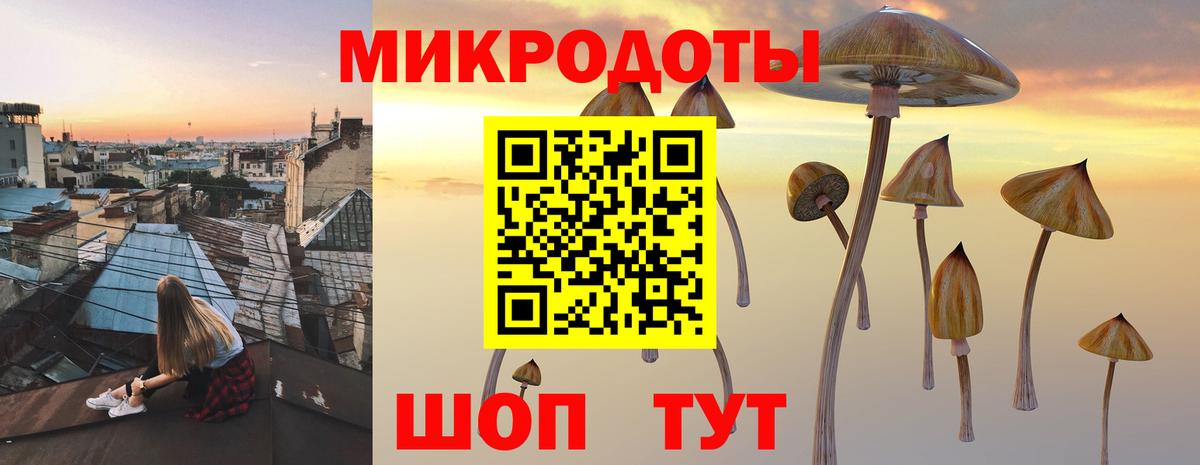 Псилоцибиновые грибы GOLDEN TEACHER Брянск