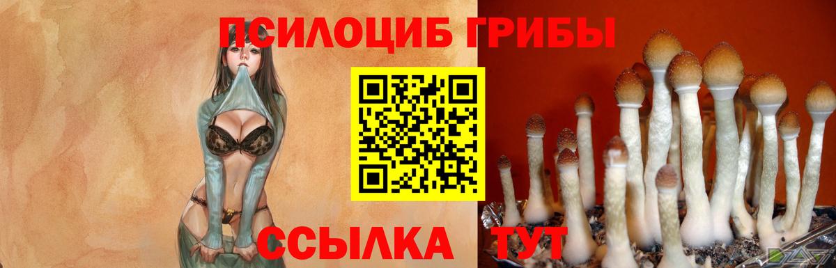Alpha-PVP СОЛЬ   COCAIN  АМФ кристаллы  MDMA  Cocaine  ГАШИШ  Вход с VPN  Гашиш  МЕФ кристаллы  Брянск  Каннабис 